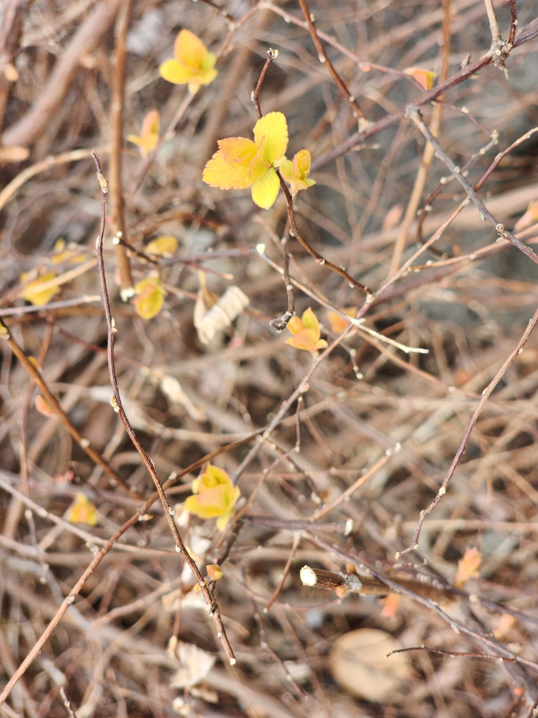 Post image 13