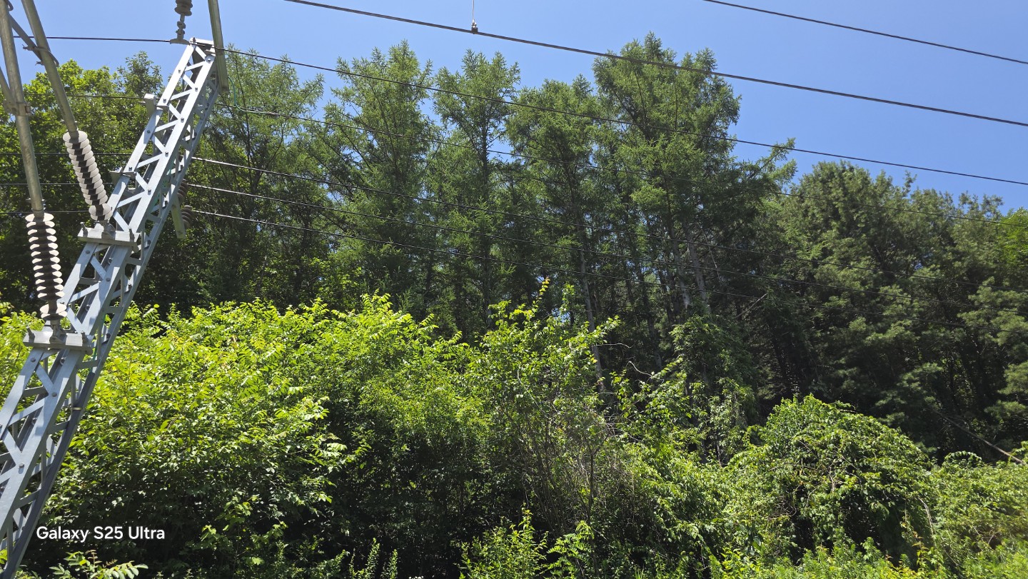 Post image 7