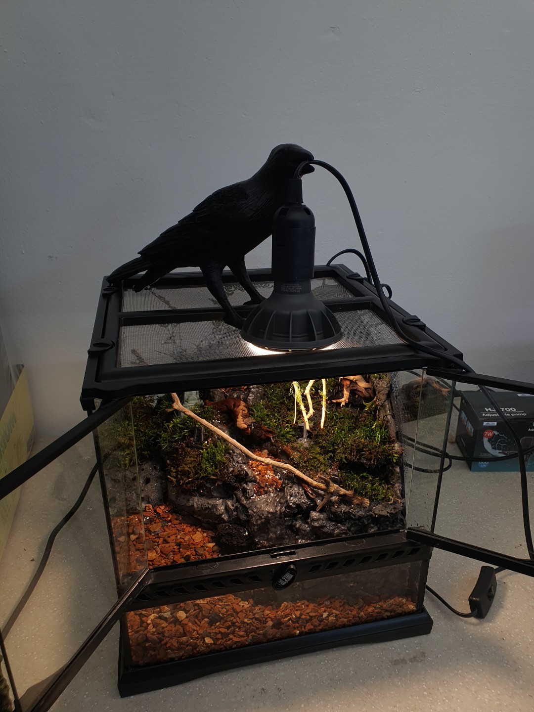 엑소테라 303030 데스밸리 크랩 팔루다리움 제작 과정 2