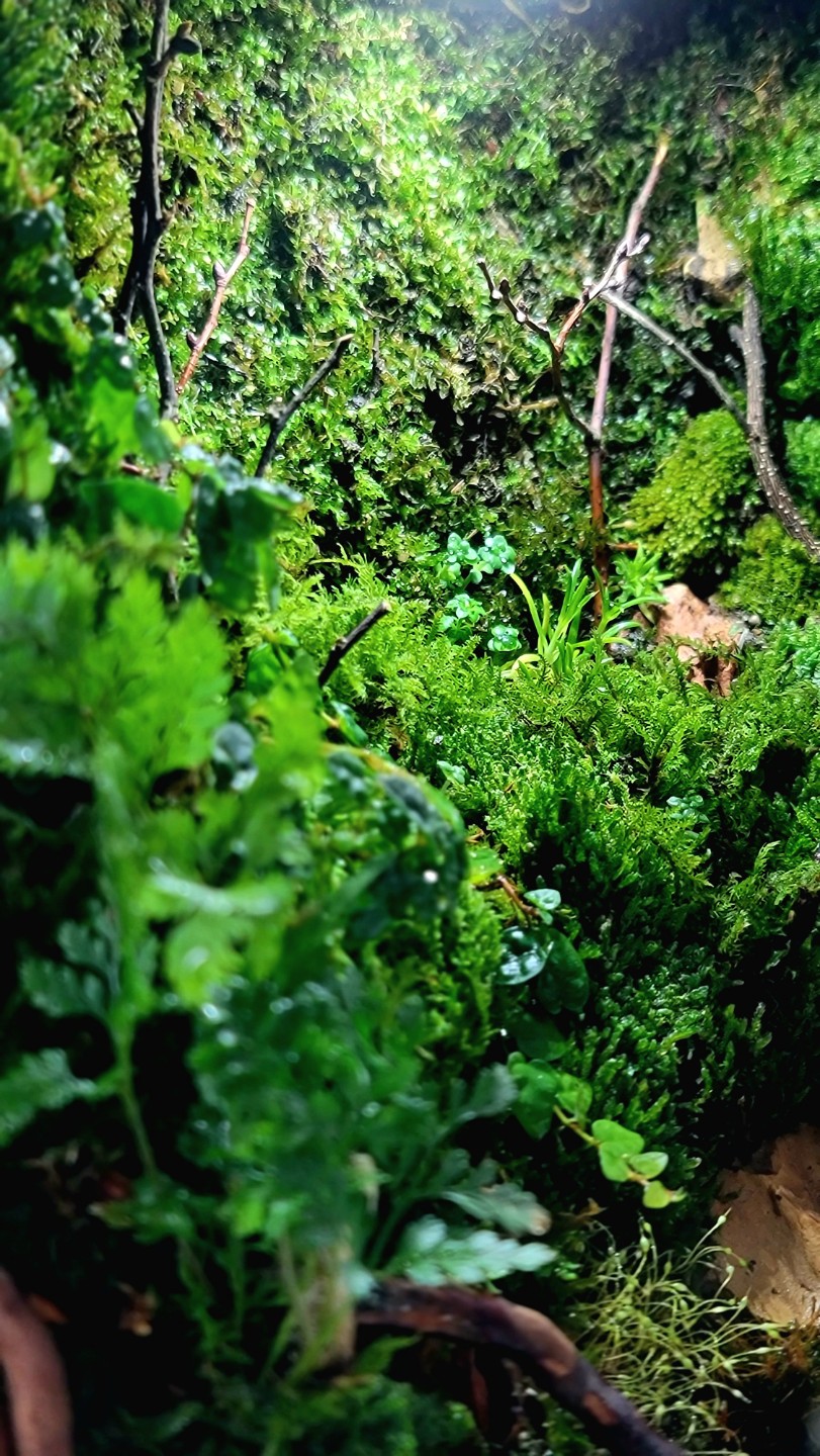 Post image 5