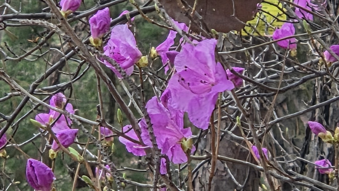 Post image 6