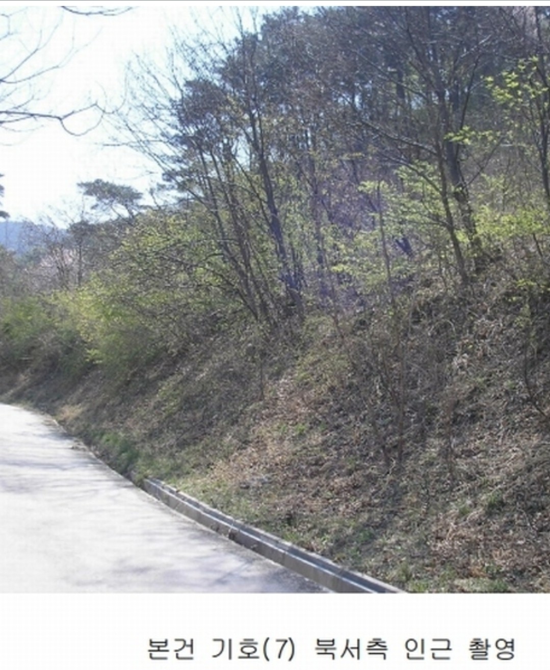 Post image 4