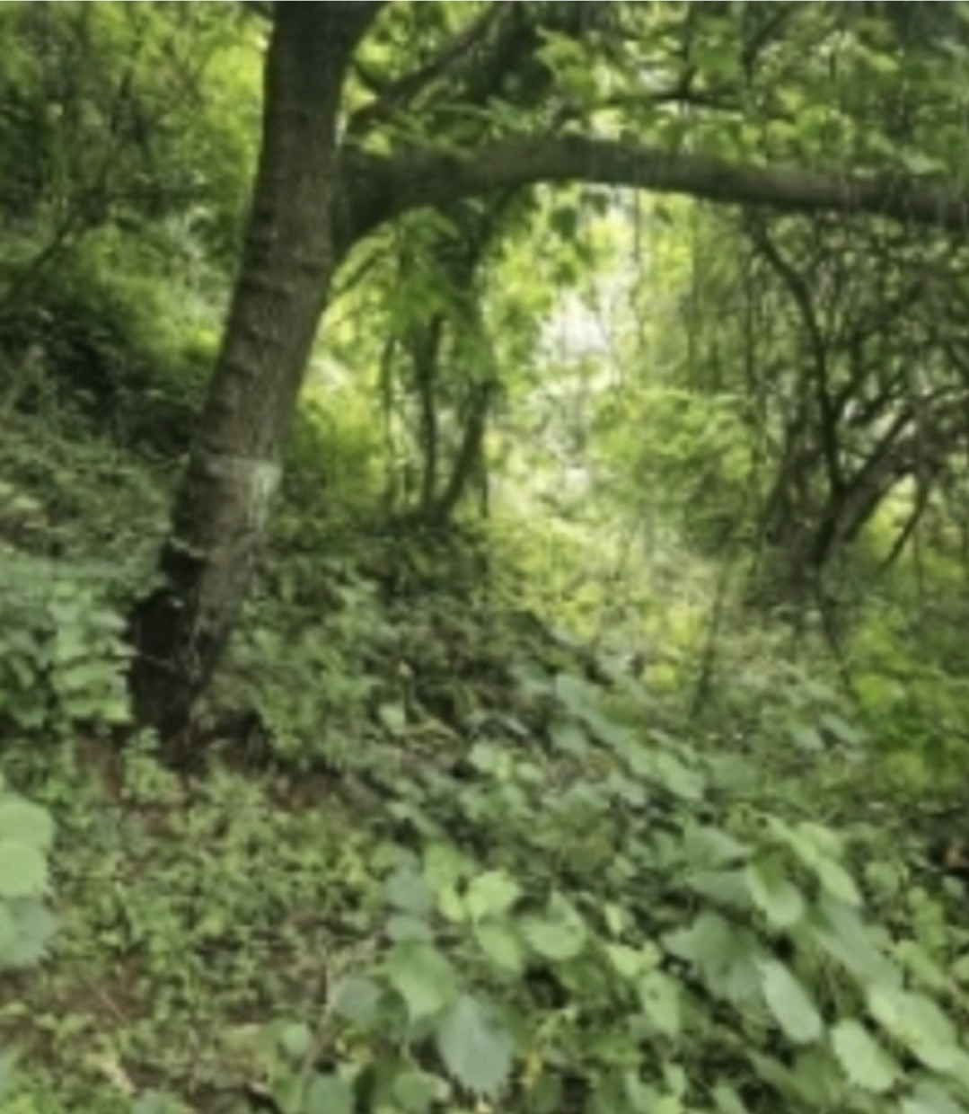 Post image 5