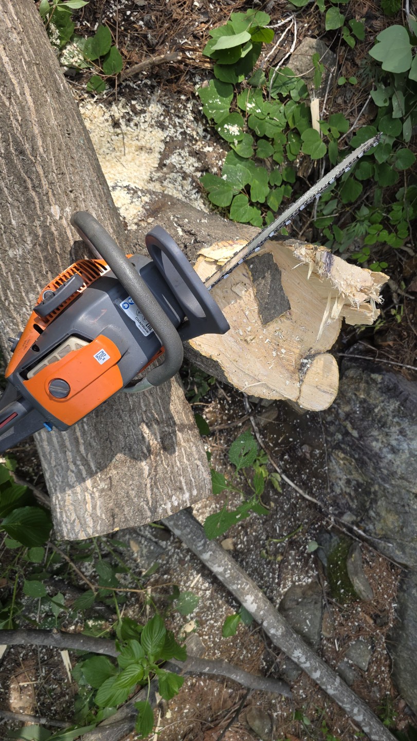 Post image 32