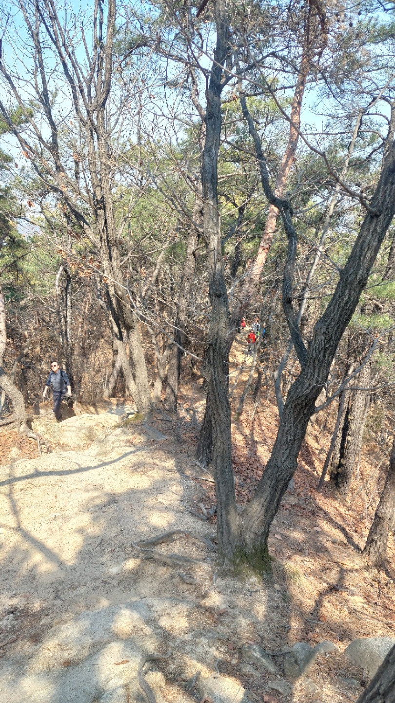 Post image 4