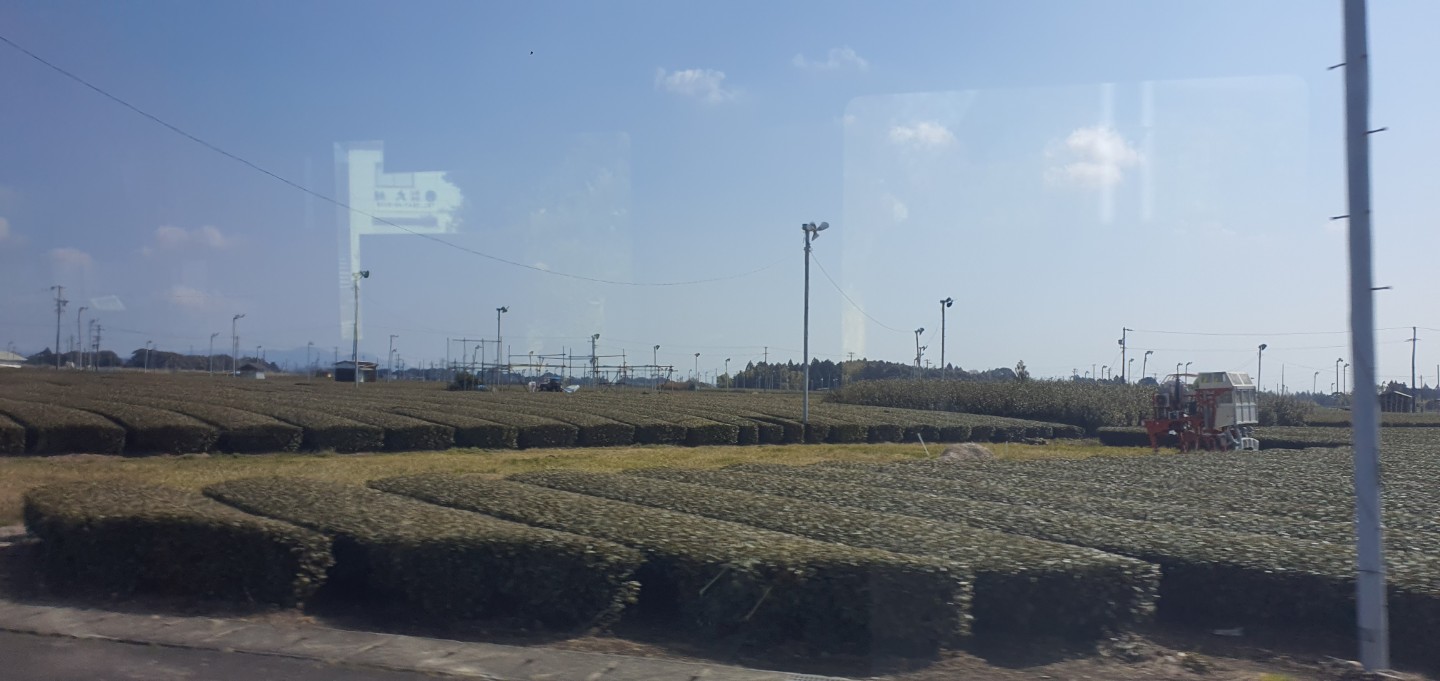Post image 6
