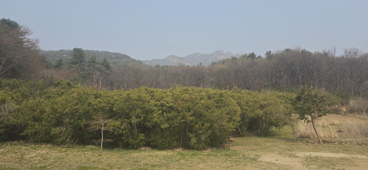 봄이 왔네요