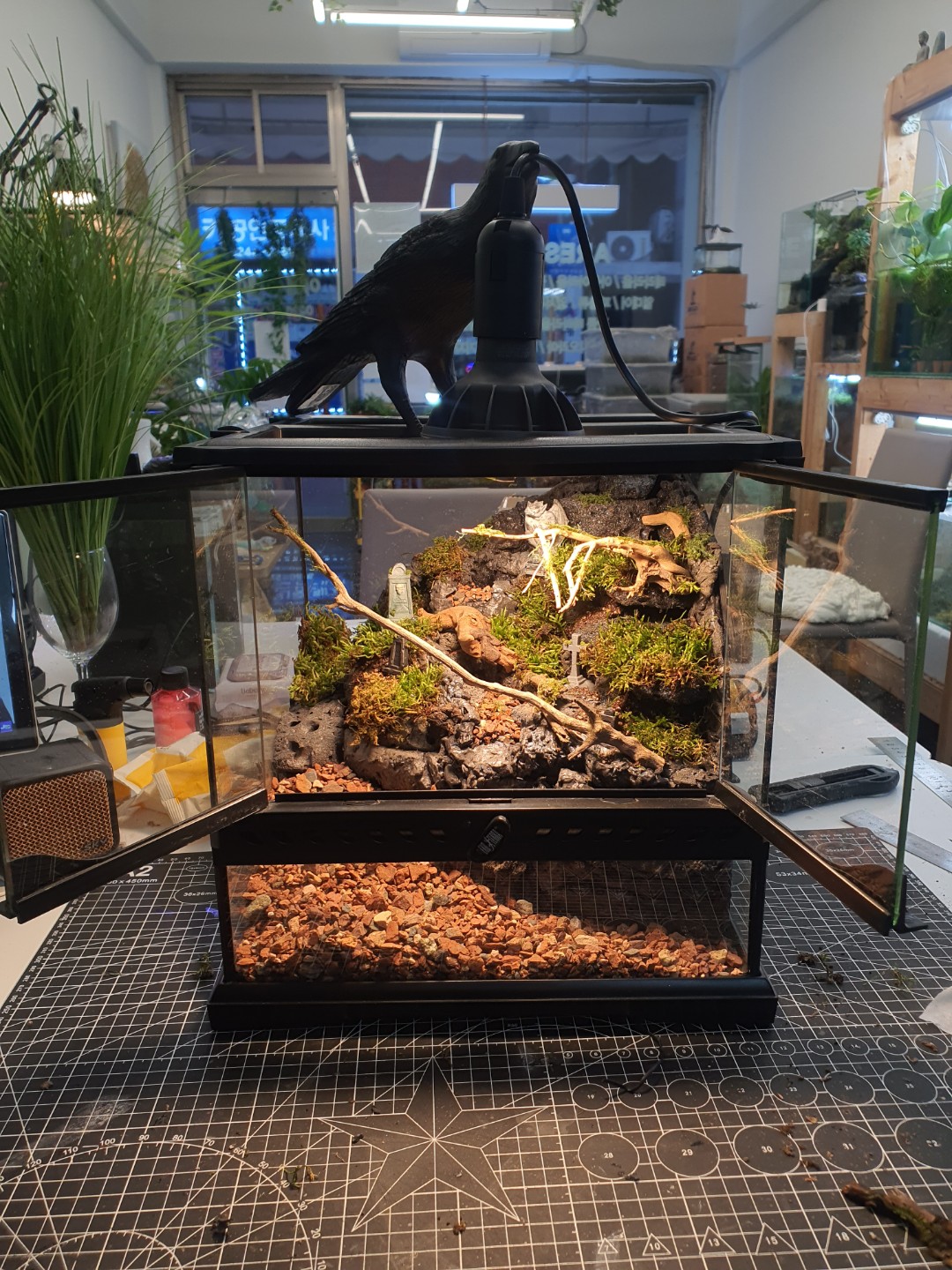 엑소테라 303030 데스밸리 크랩 팔루다리움 제작 과정 2