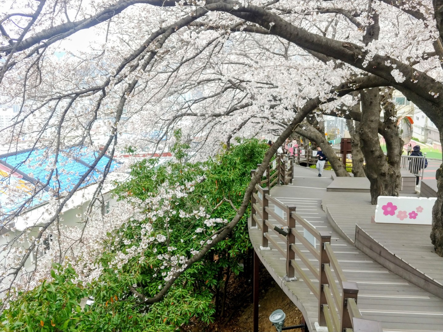 Post image 6