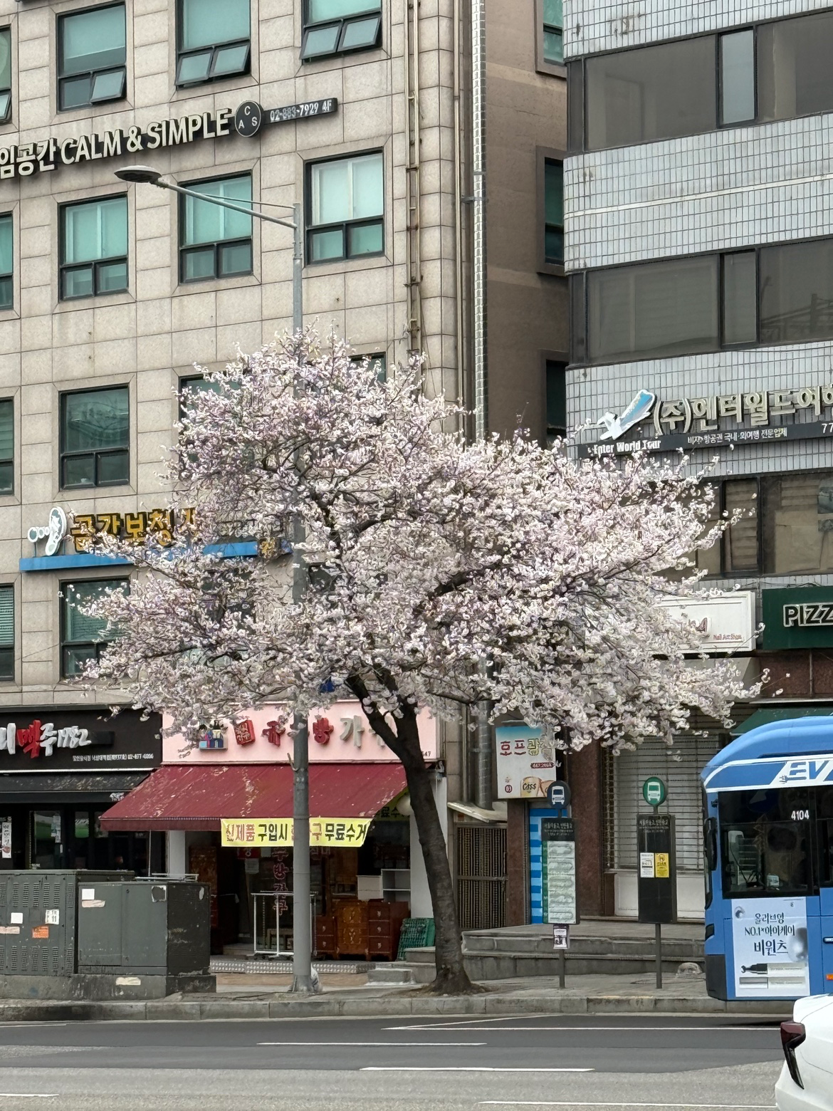 Post image 5