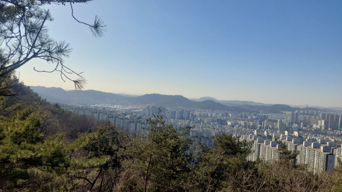 Post image 11