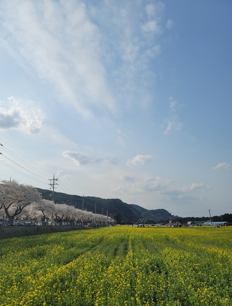 Post image 16