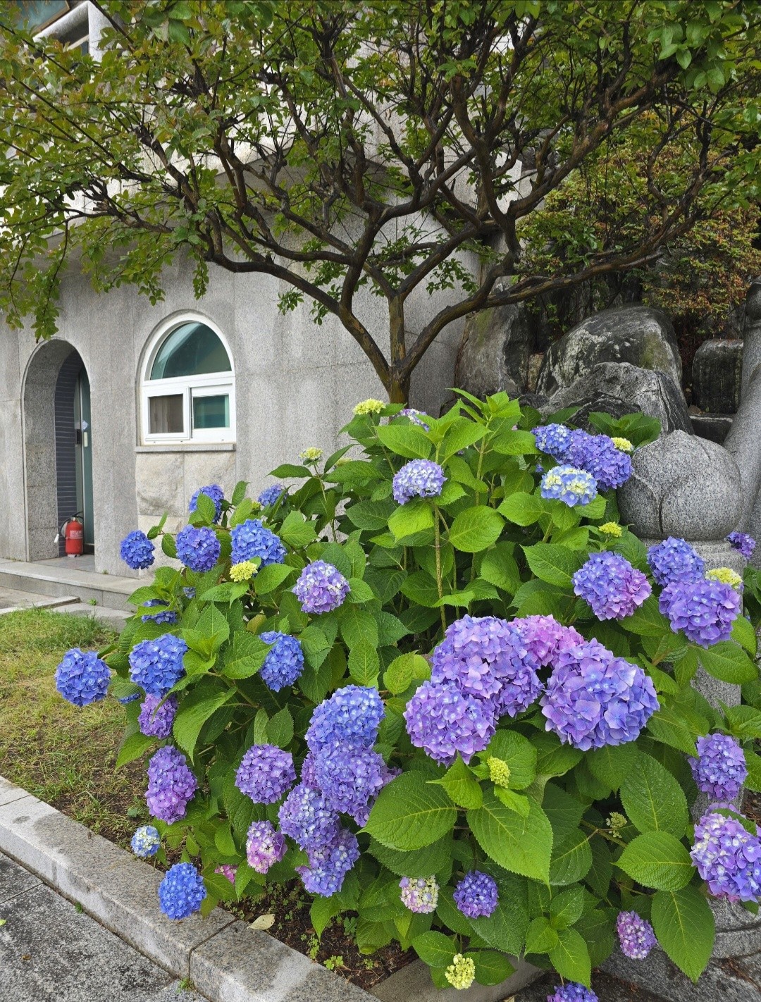 Post image 10