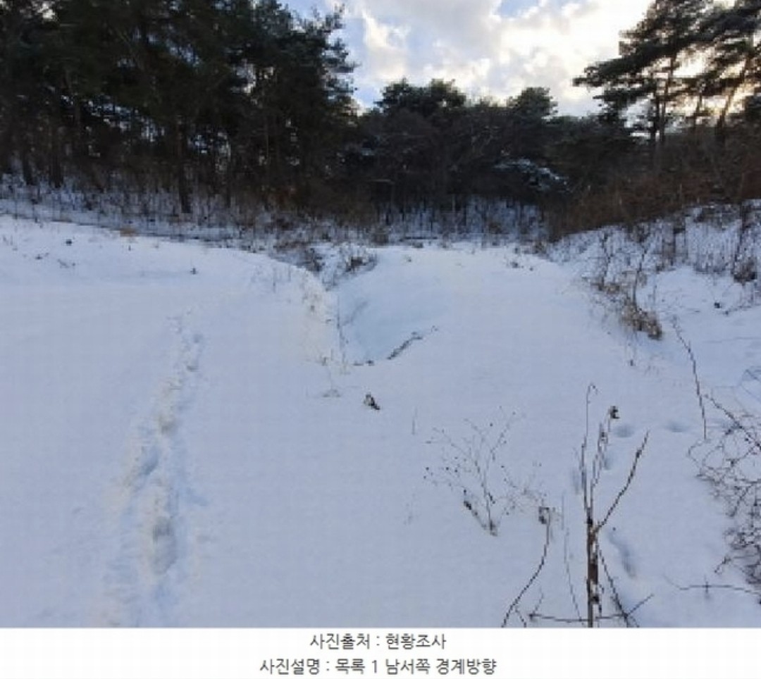 Post image 6