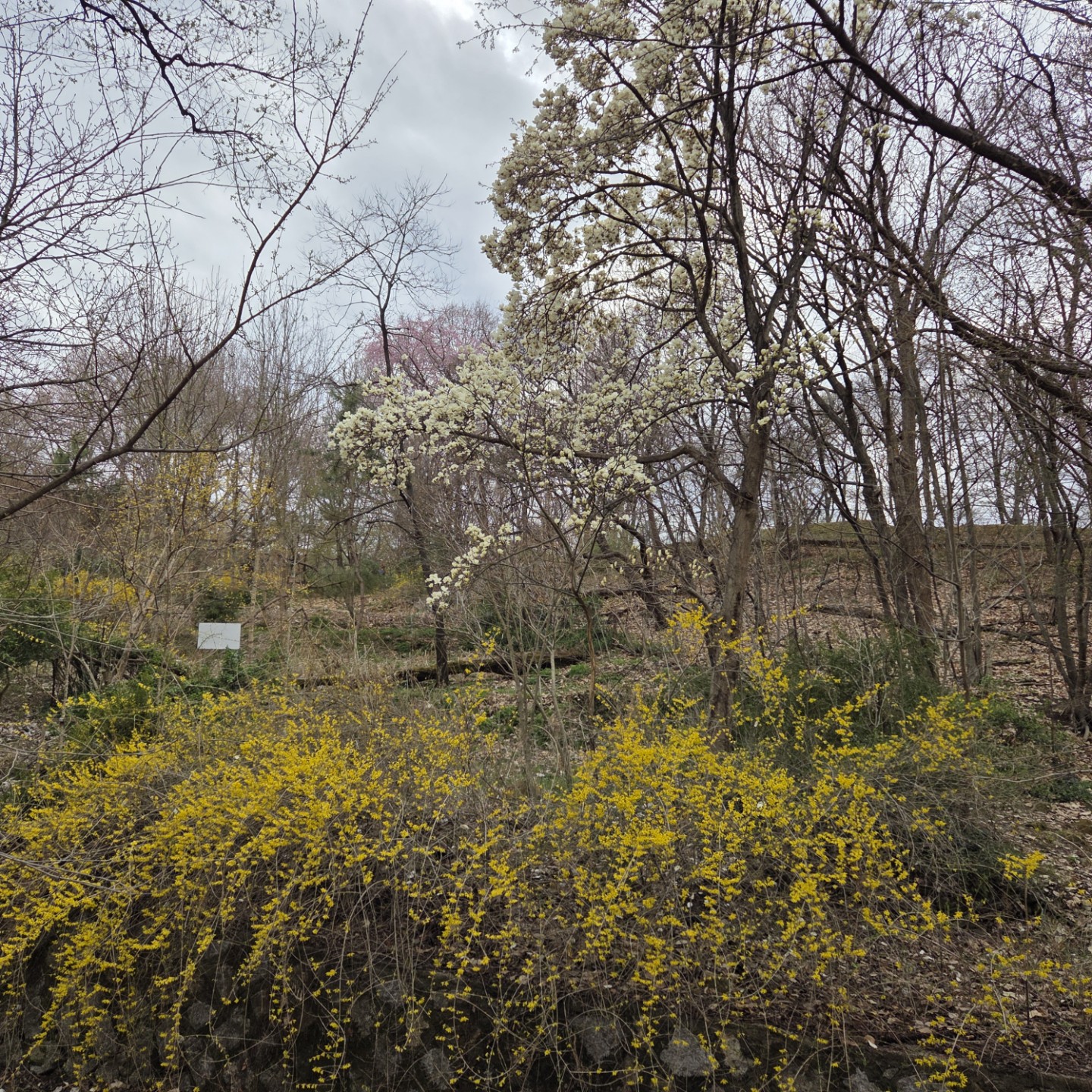 Post image 5