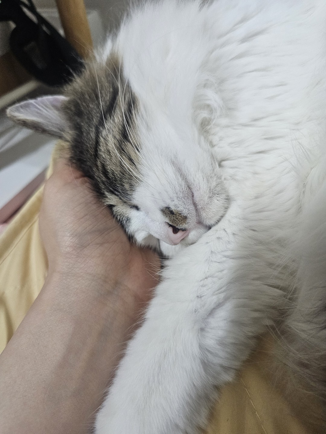 엄마 손을 너무 좋아하는 고영희