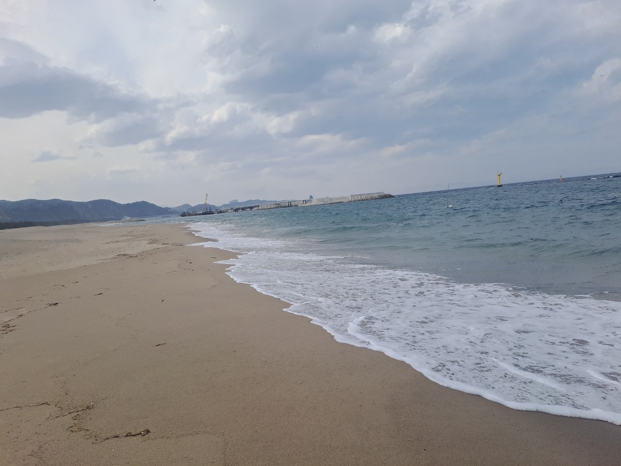 🌸삼척맹방해변@유채꽃축제~~^^