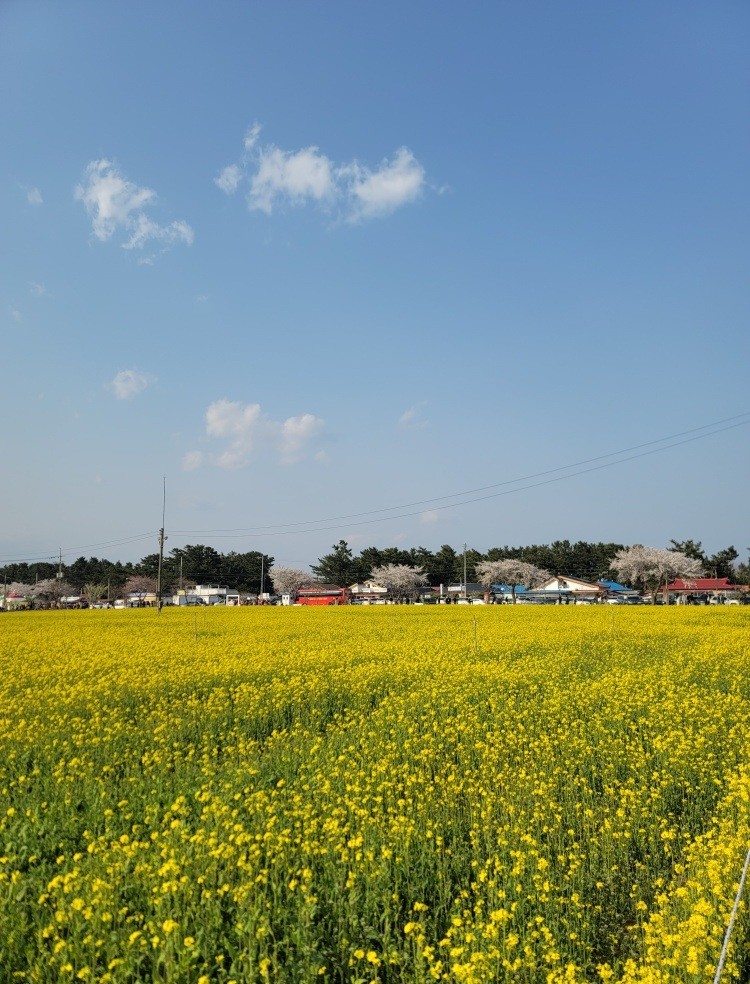 Post image 18