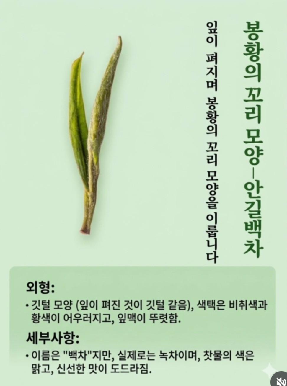Post image 11