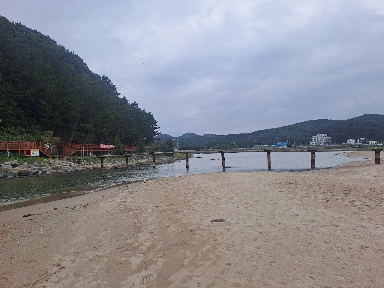 🌸삼척맹방해변@유채꽃축제~~^^