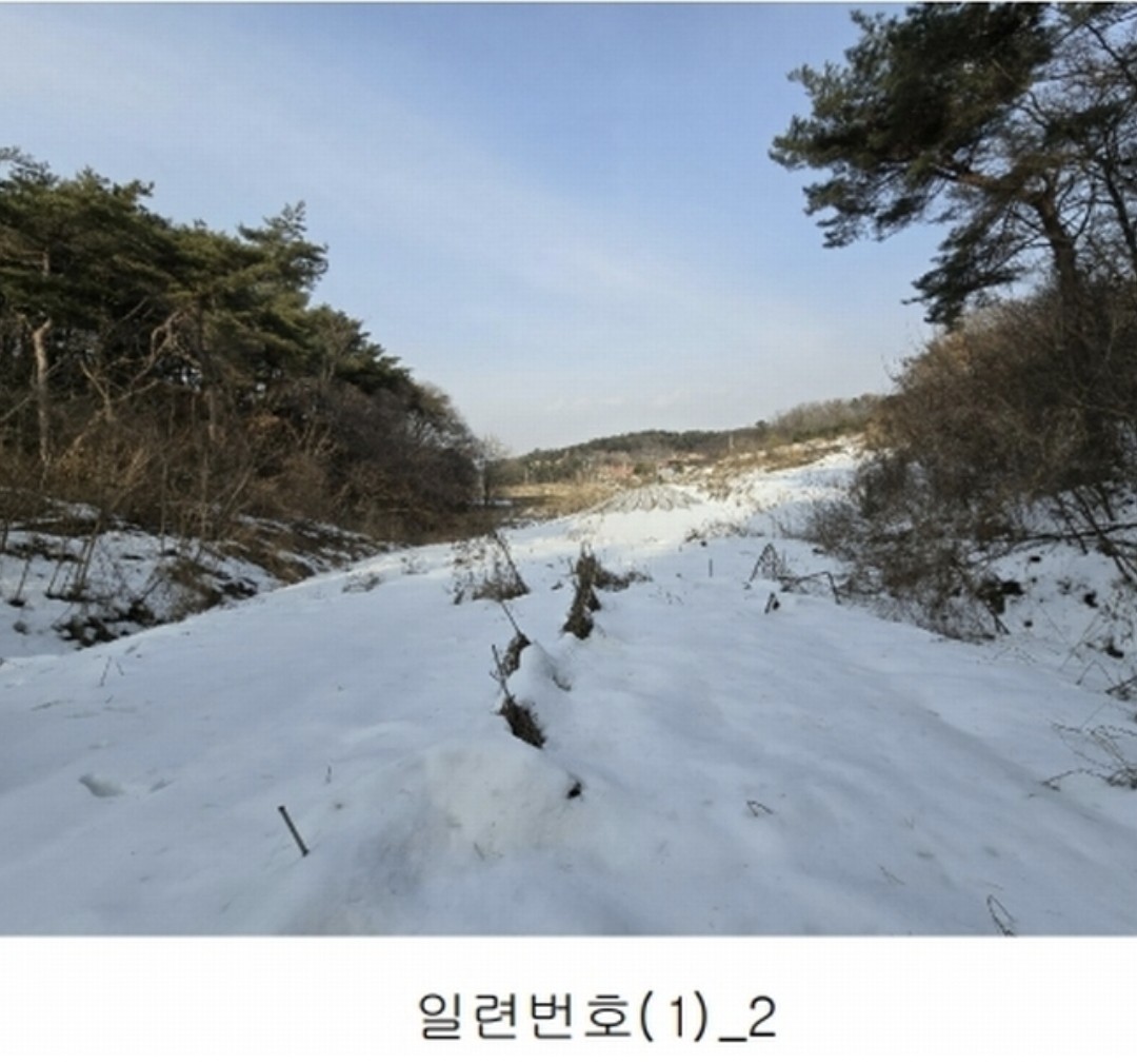 Post image 5