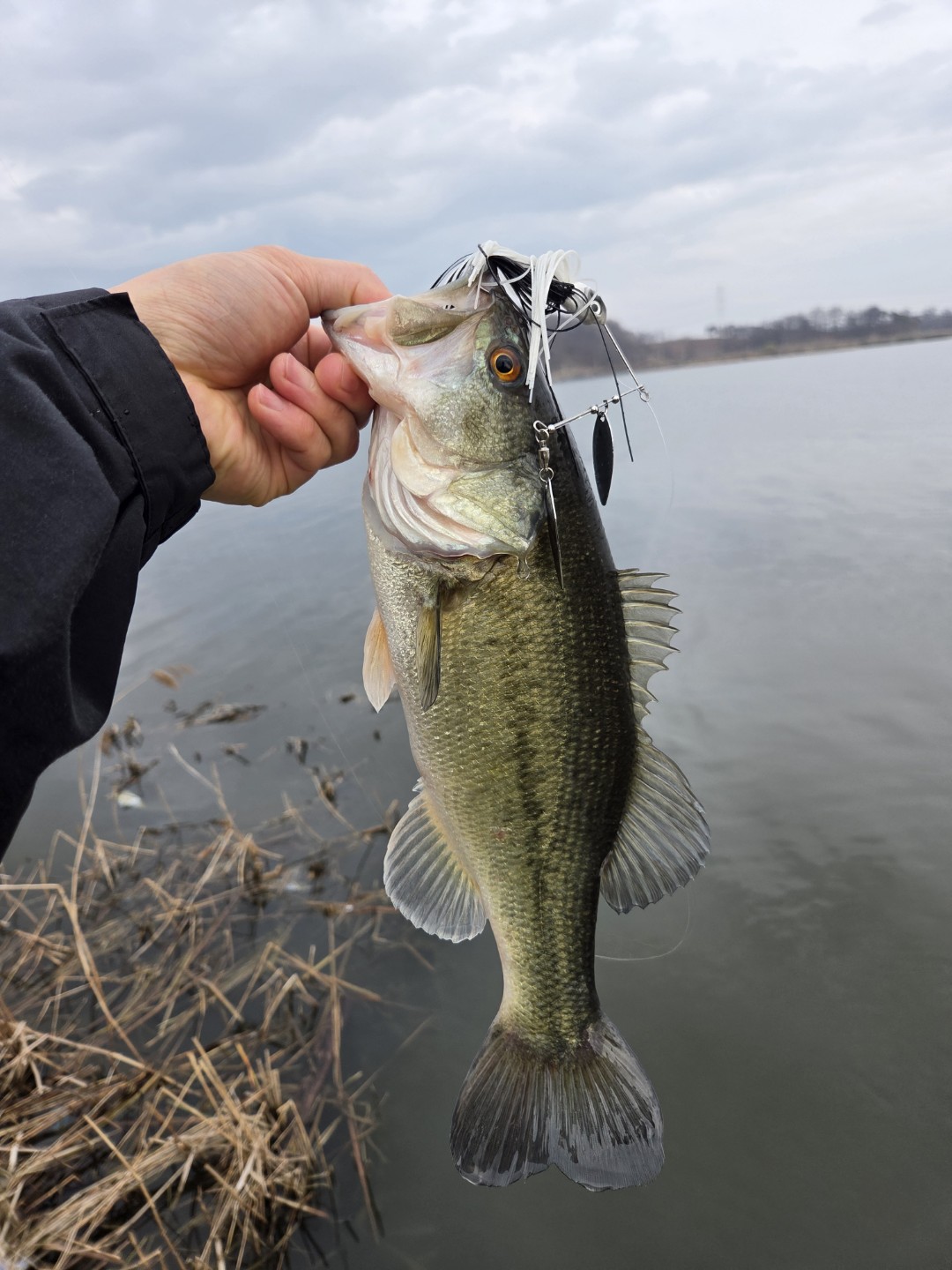 오늘 남양호에서 잡았습니다