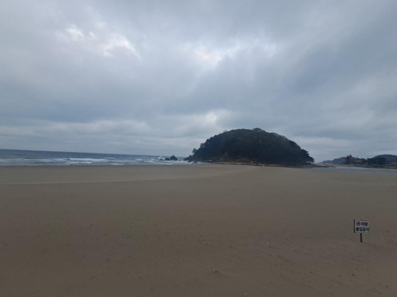 🌸삼척맹방해변@유채꽃축제~~^^