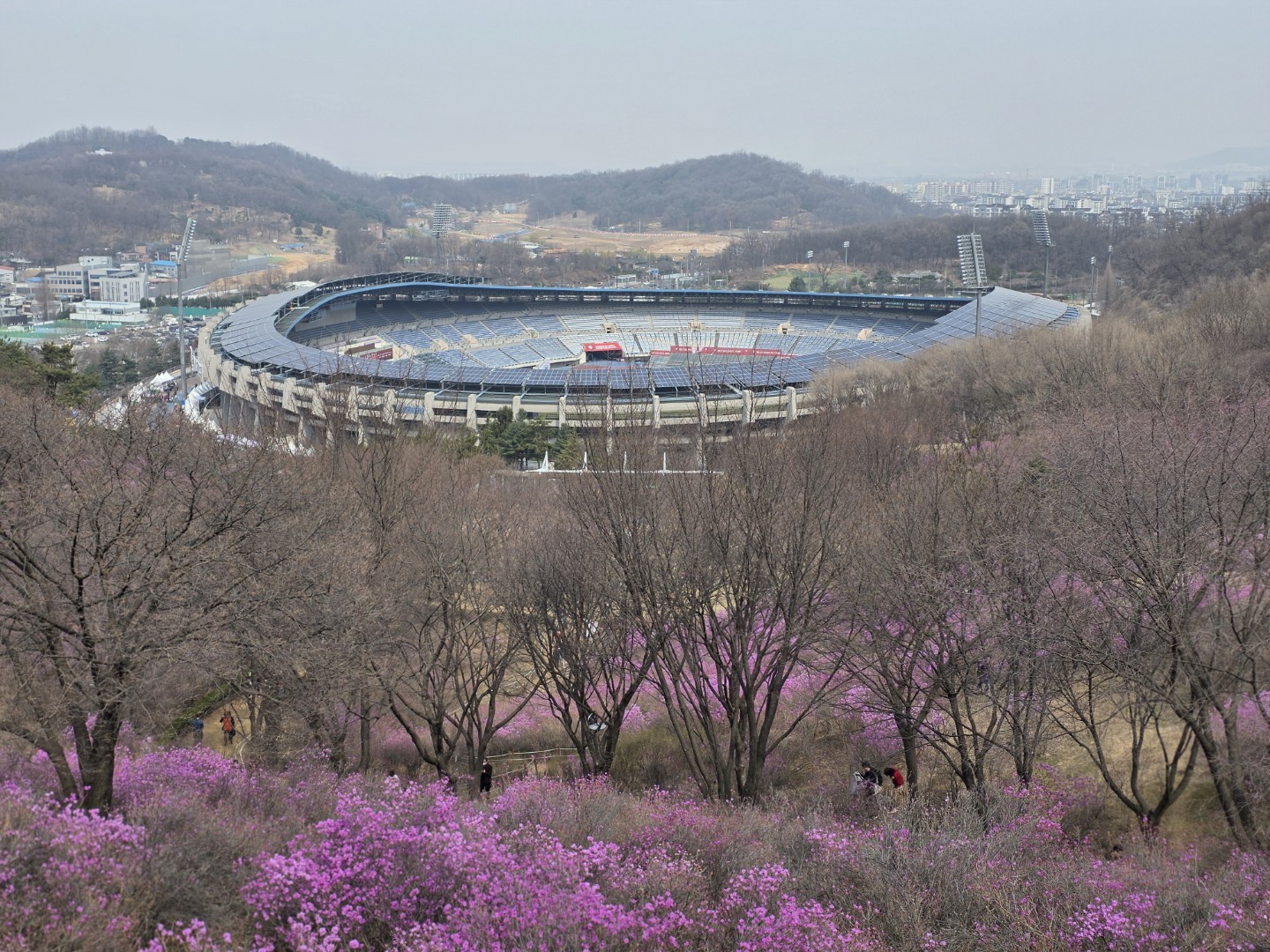 오늘 진달래 공원입니다