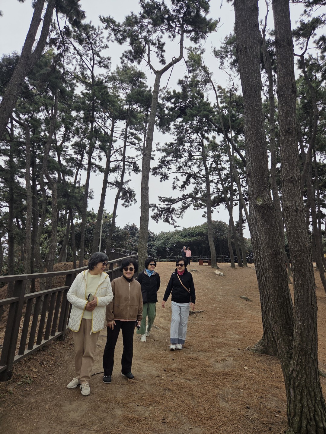Post image 7