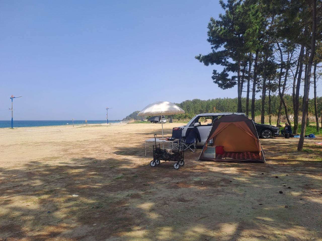 🌸삼척맹방해변@유채꽃축제~~^^