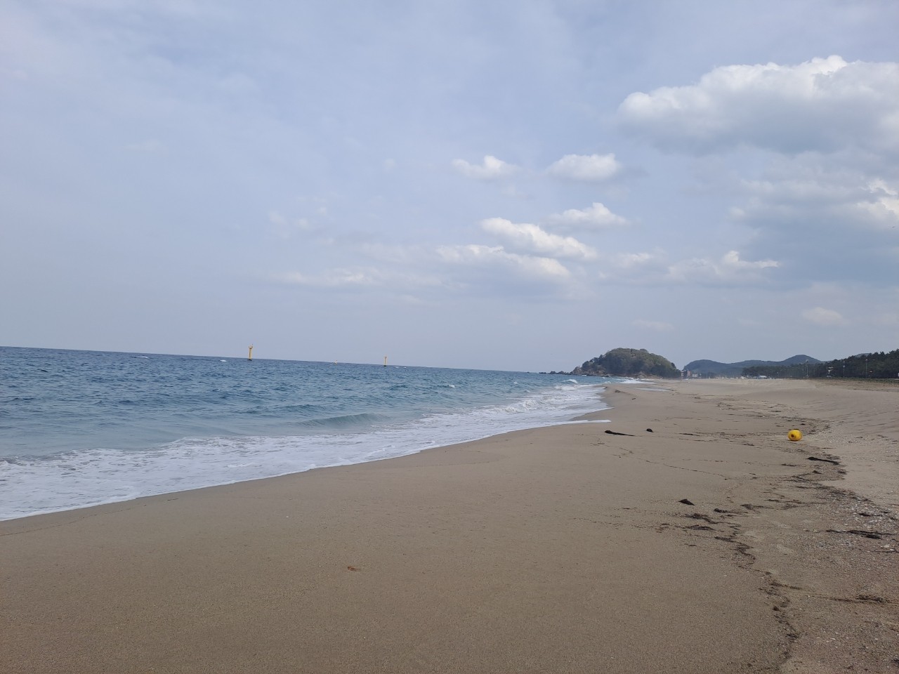 🌸삼척맹방해변@유채꽃축제~~^^