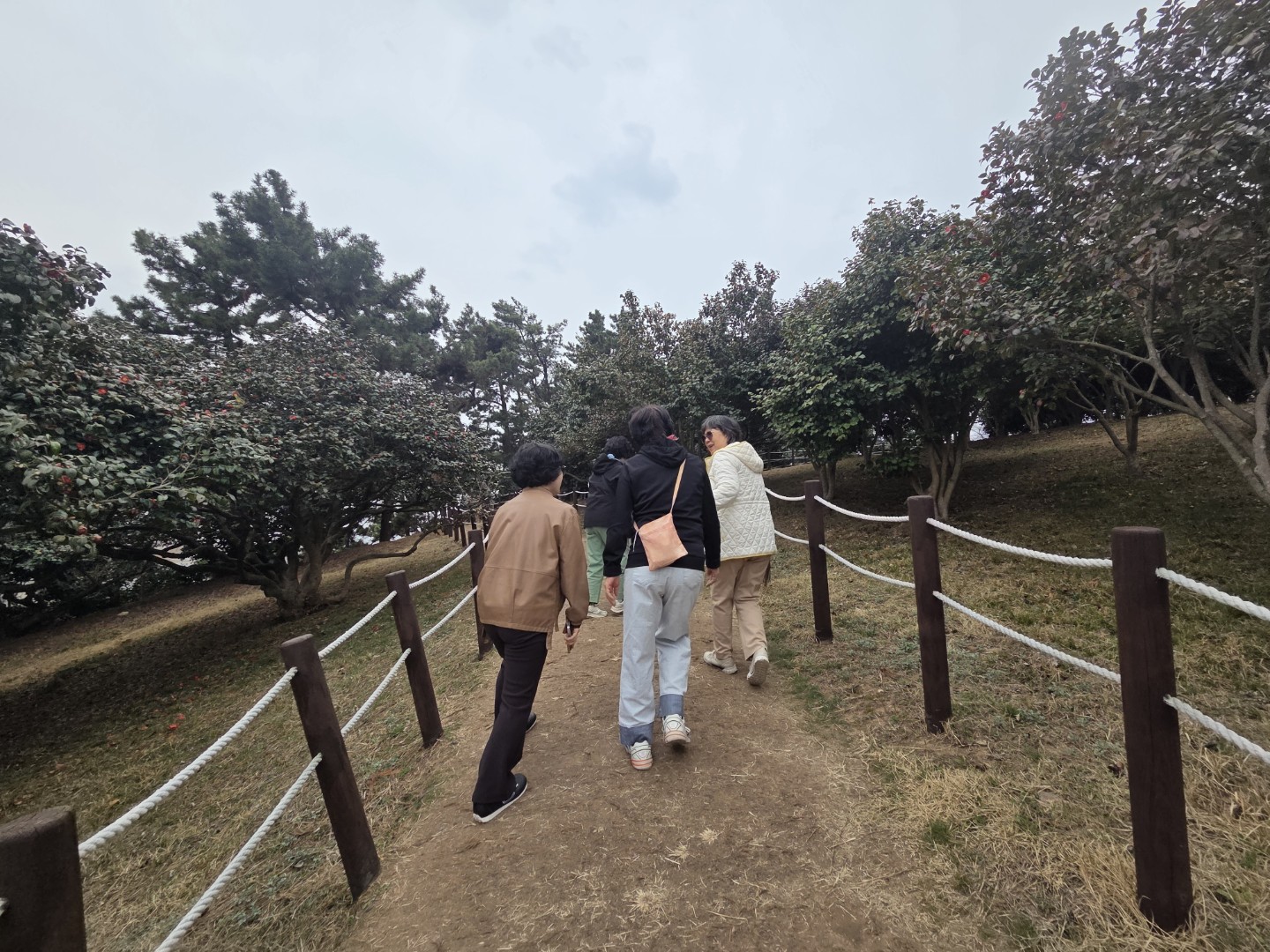 Post image 10