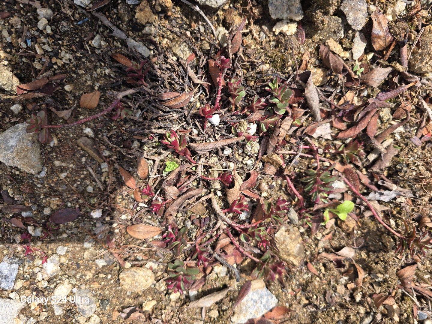 Post image 14