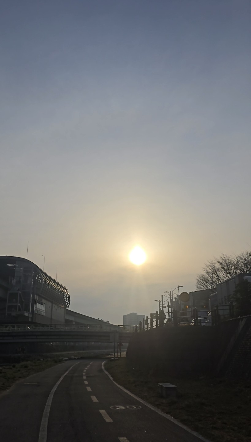 일요일 러닝 인증샷 🏃‍♀️