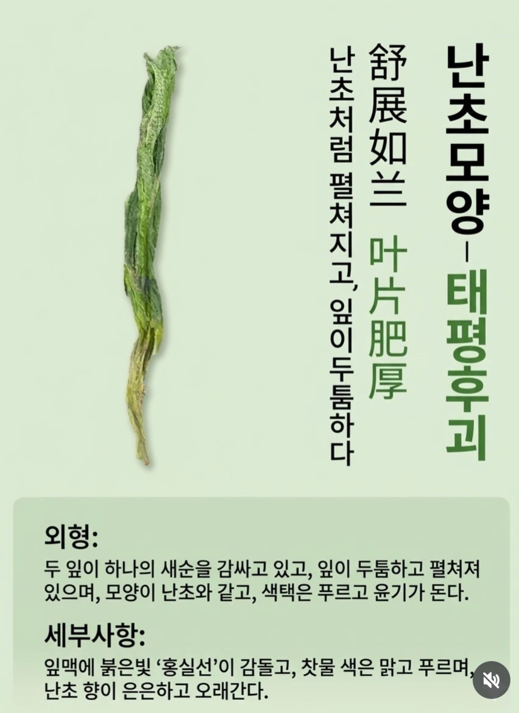 Post image 6