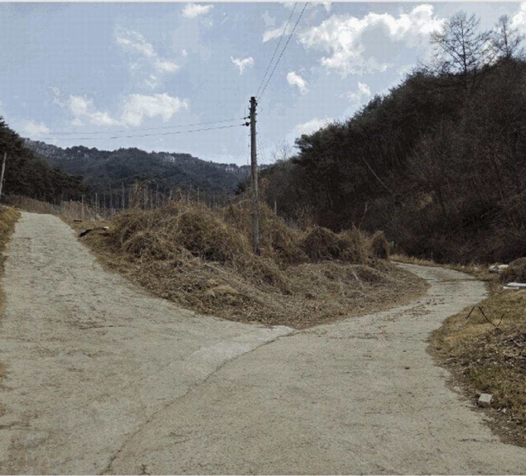 Post image 6