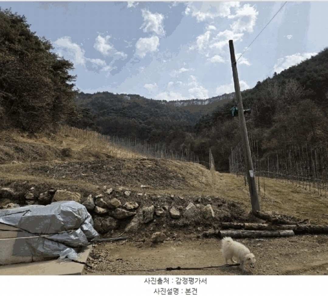 Post image 7