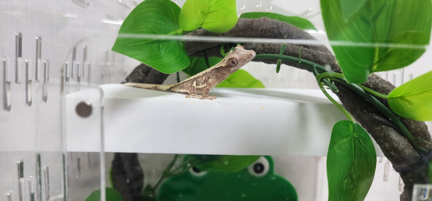 크레집에 입주했을때요^^