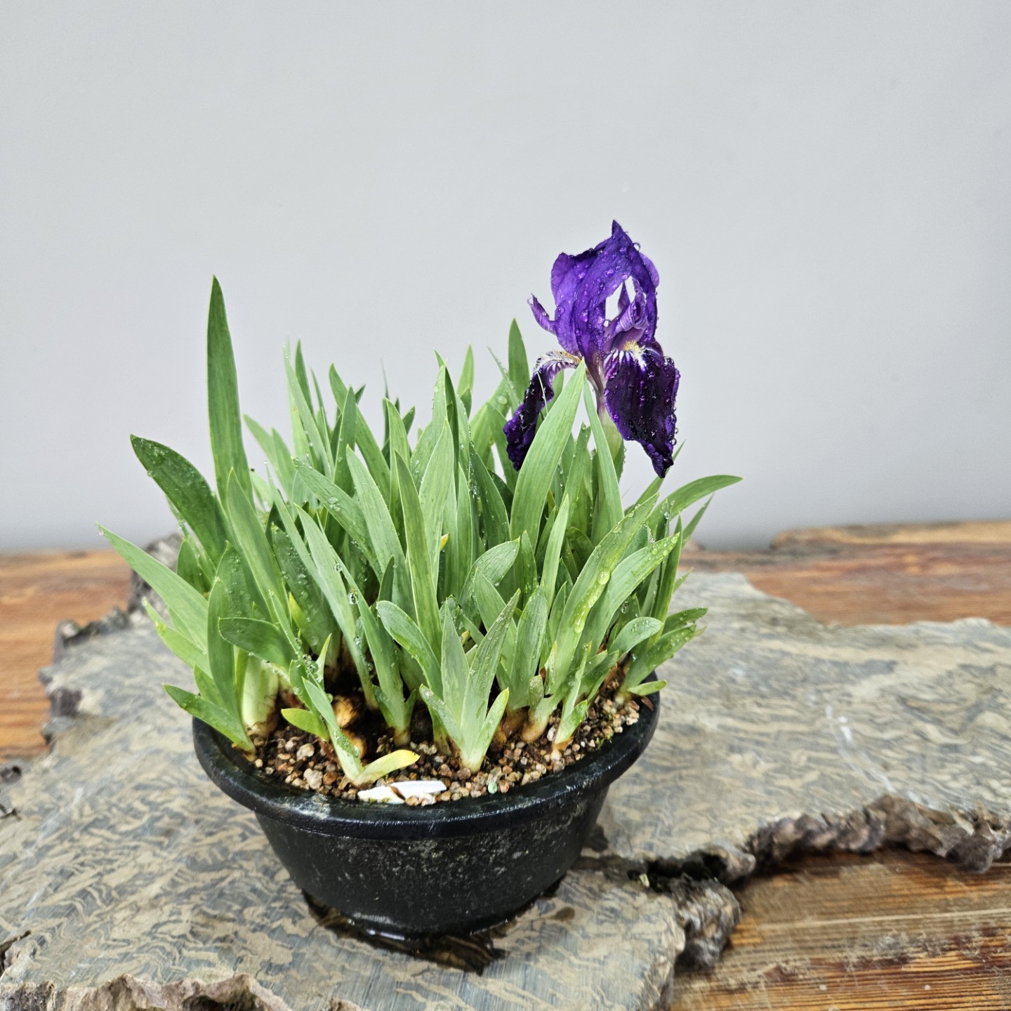 Post image 6