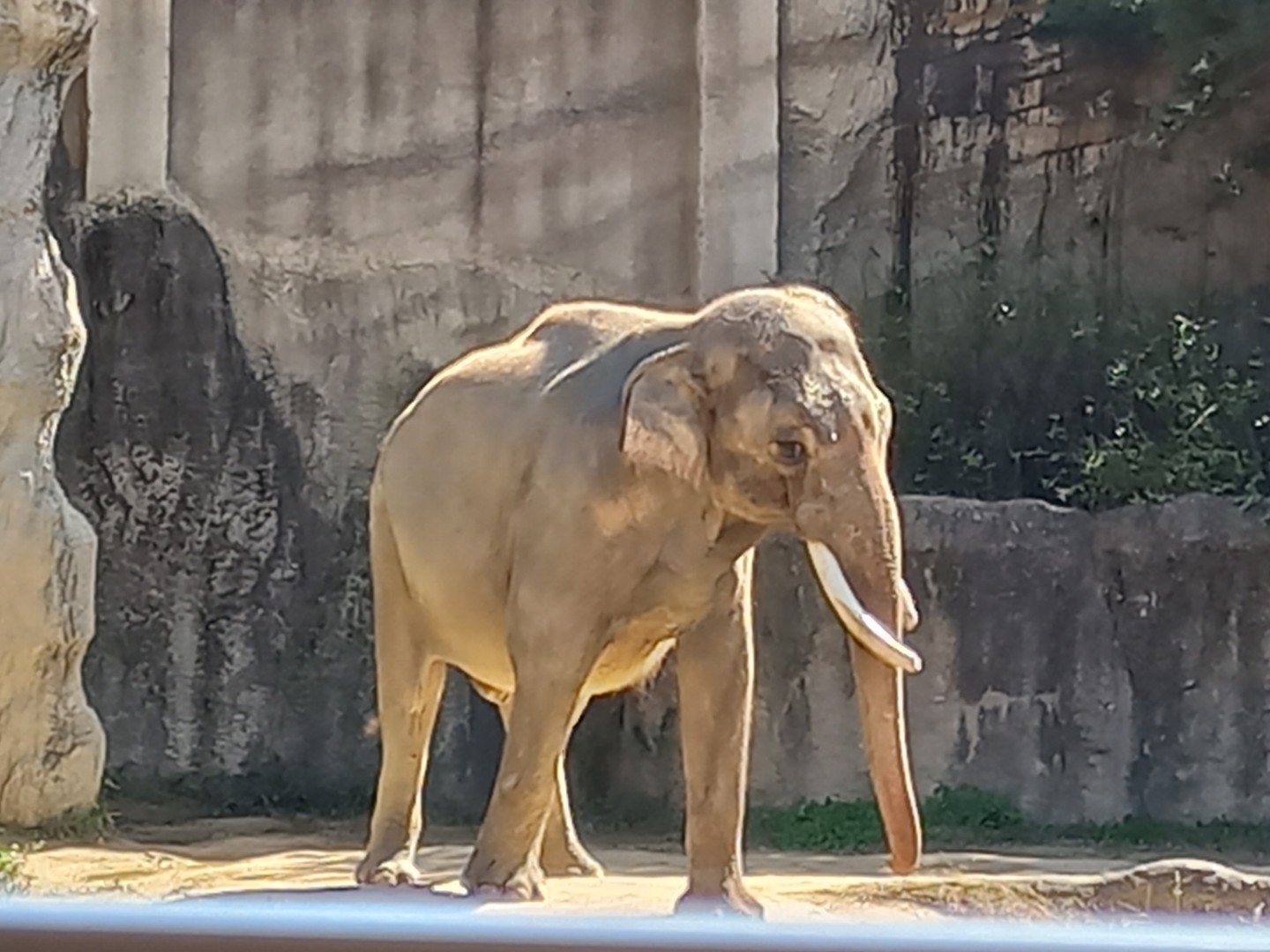 함께 공유 하고 싶은 취미 해보고 싶은 취미