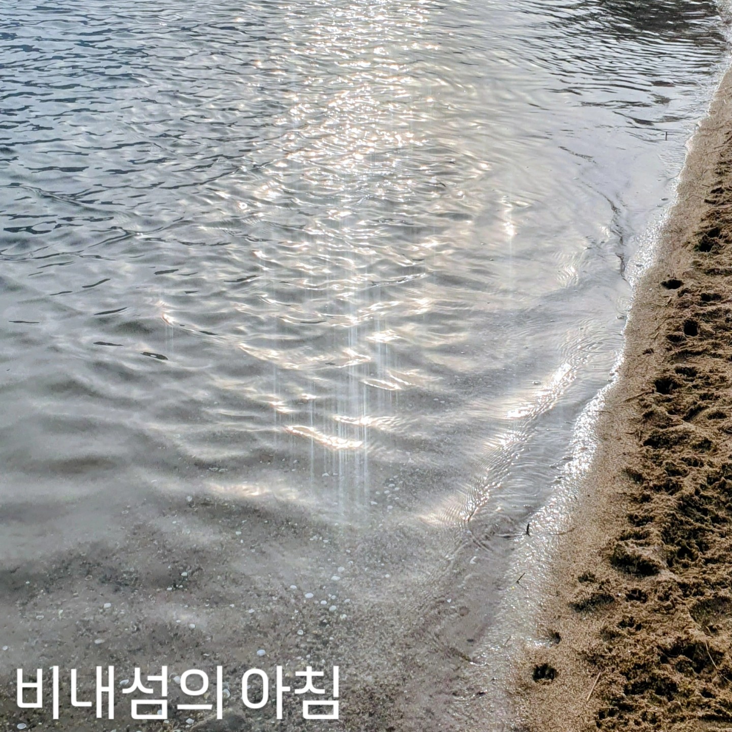 주말에 농장에 갔다가 저녁 동네앞 산책 새벽 비내섬 산책 행복했네요.