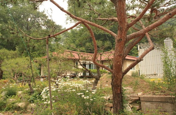 Post image 6