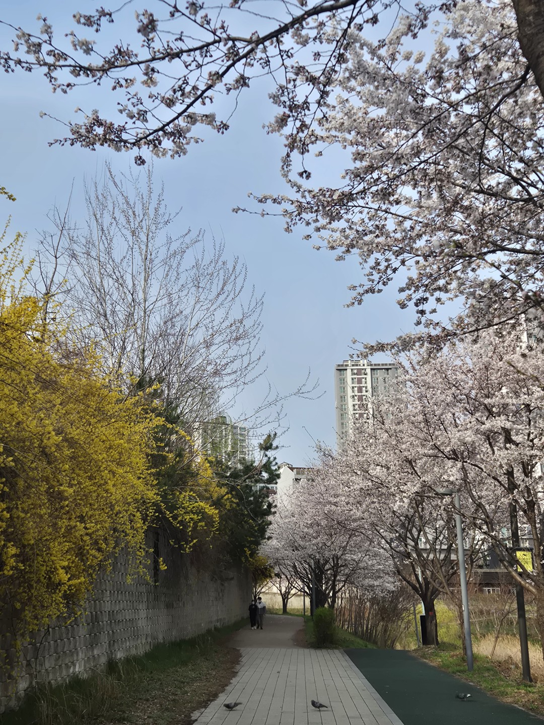 Post image 5