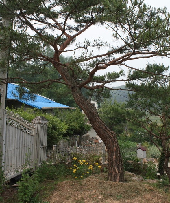Post image 8
