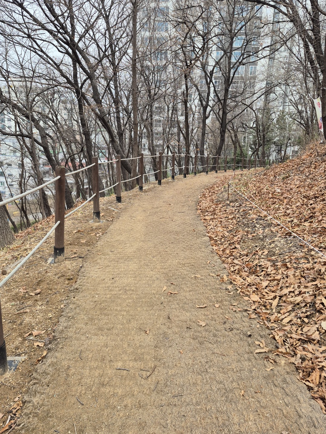 Post image 5