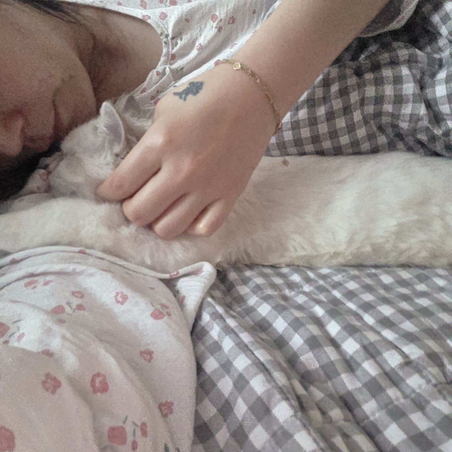 저희집 김먹구름 소개합니다!