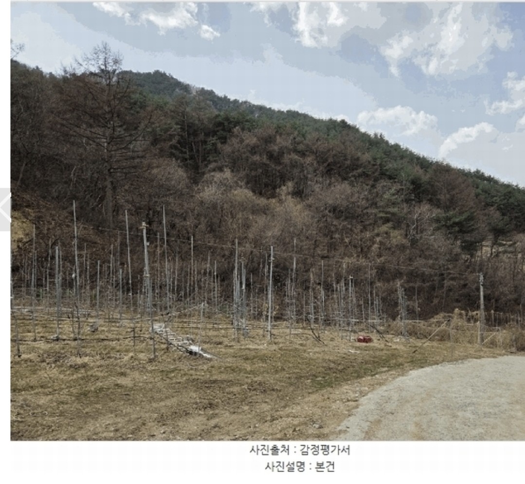 Post image 8