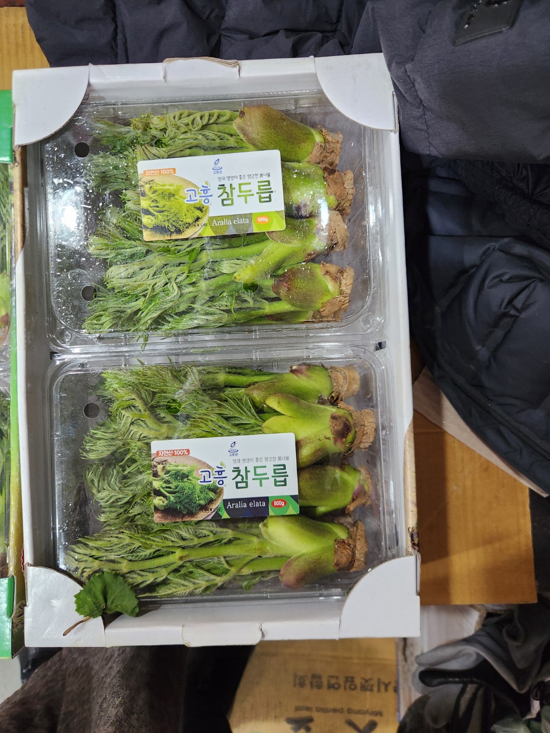 두릅 한번 드세요