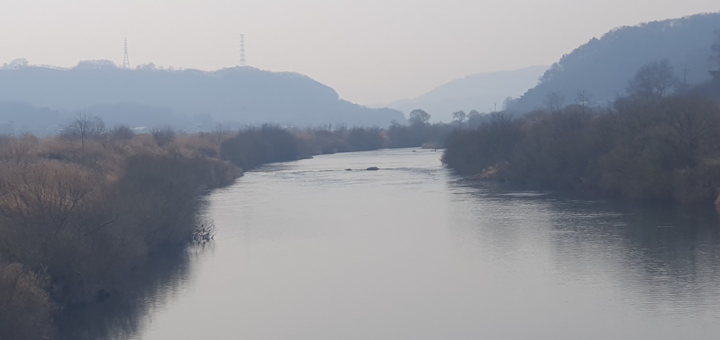 주말에 농장에 갔다가 저녁 동네앞 산책 새벽 비내섬 산책 행복했네요.
