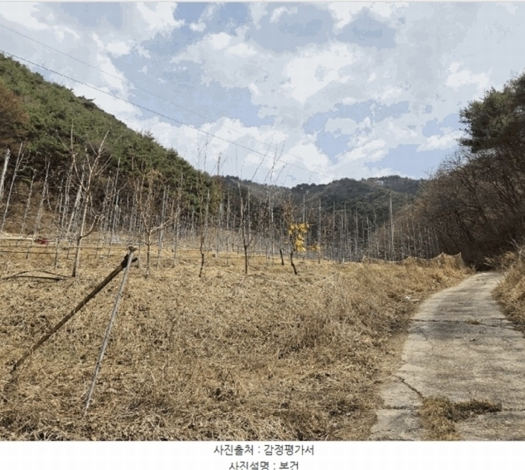 Post image 9
